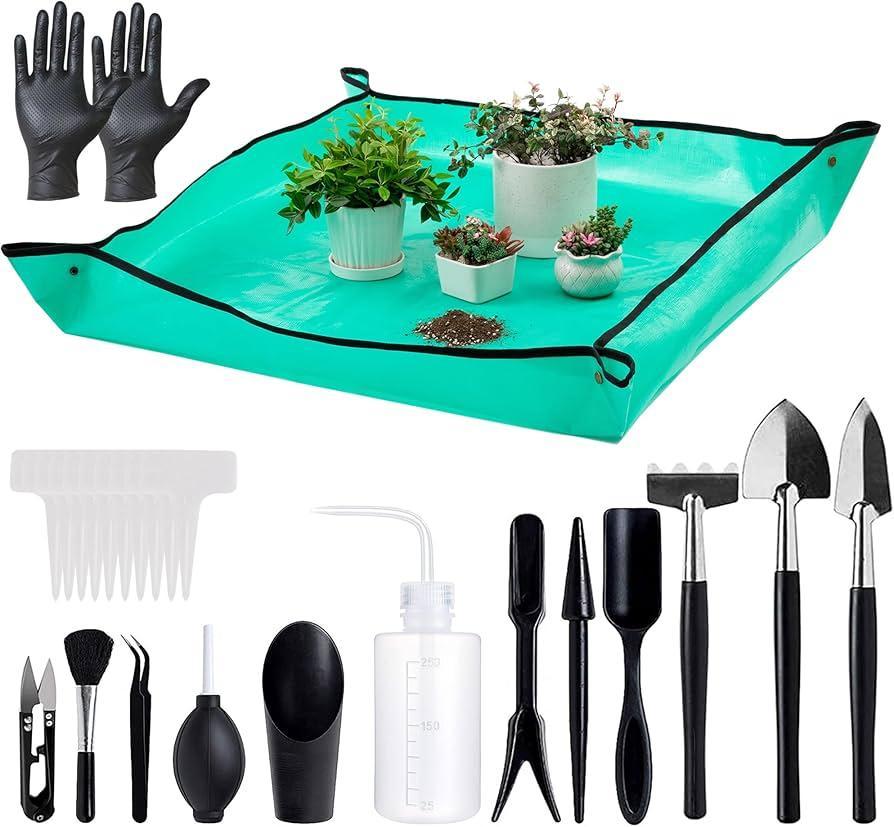 Essential Tools for Repotting Succulent Plant