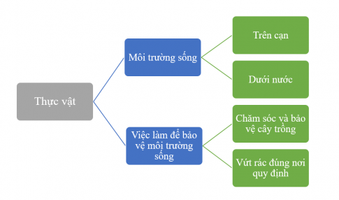 BÀI 20. ÔN TẬP CHỦ ĐỀ THỰC VẬT VÀ ĐỘNG VẬTTHỰC HÀNHCâu 1: Hoàn thành sơ đồ theo gợi ý sau:Đáp án chuẩn:VẬN DỤNG