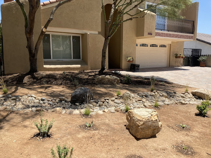 drought tolerant landscaping