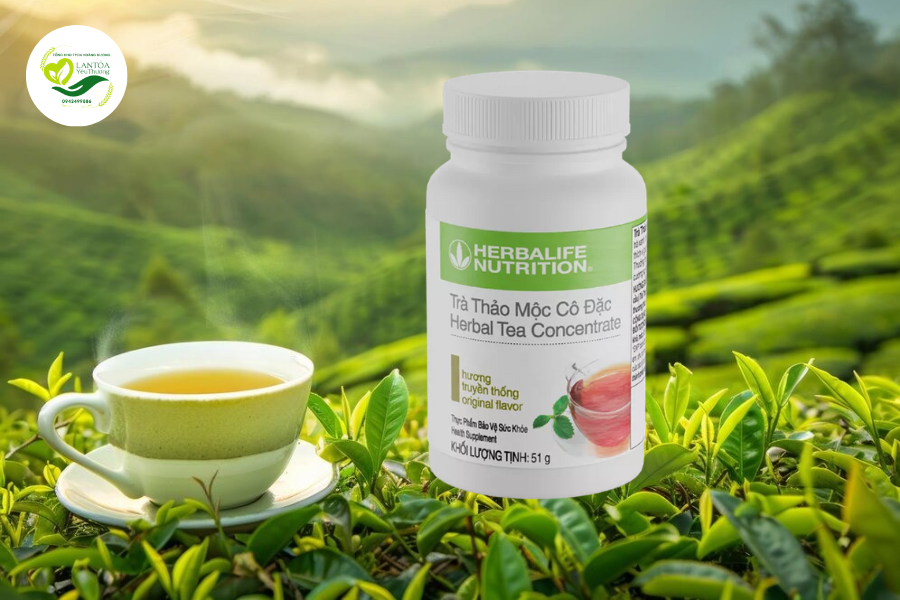 Giới thiệu về Trà thảo mộc cô đặc Herbalife 