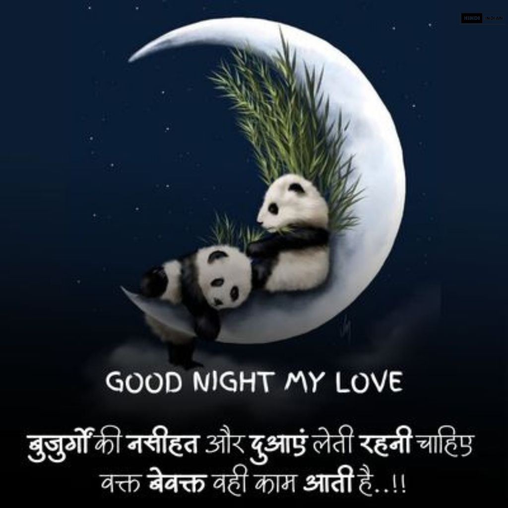 Good Night Quotes in Hindi [HD Photos] | शुभ रात्रि सुविचार