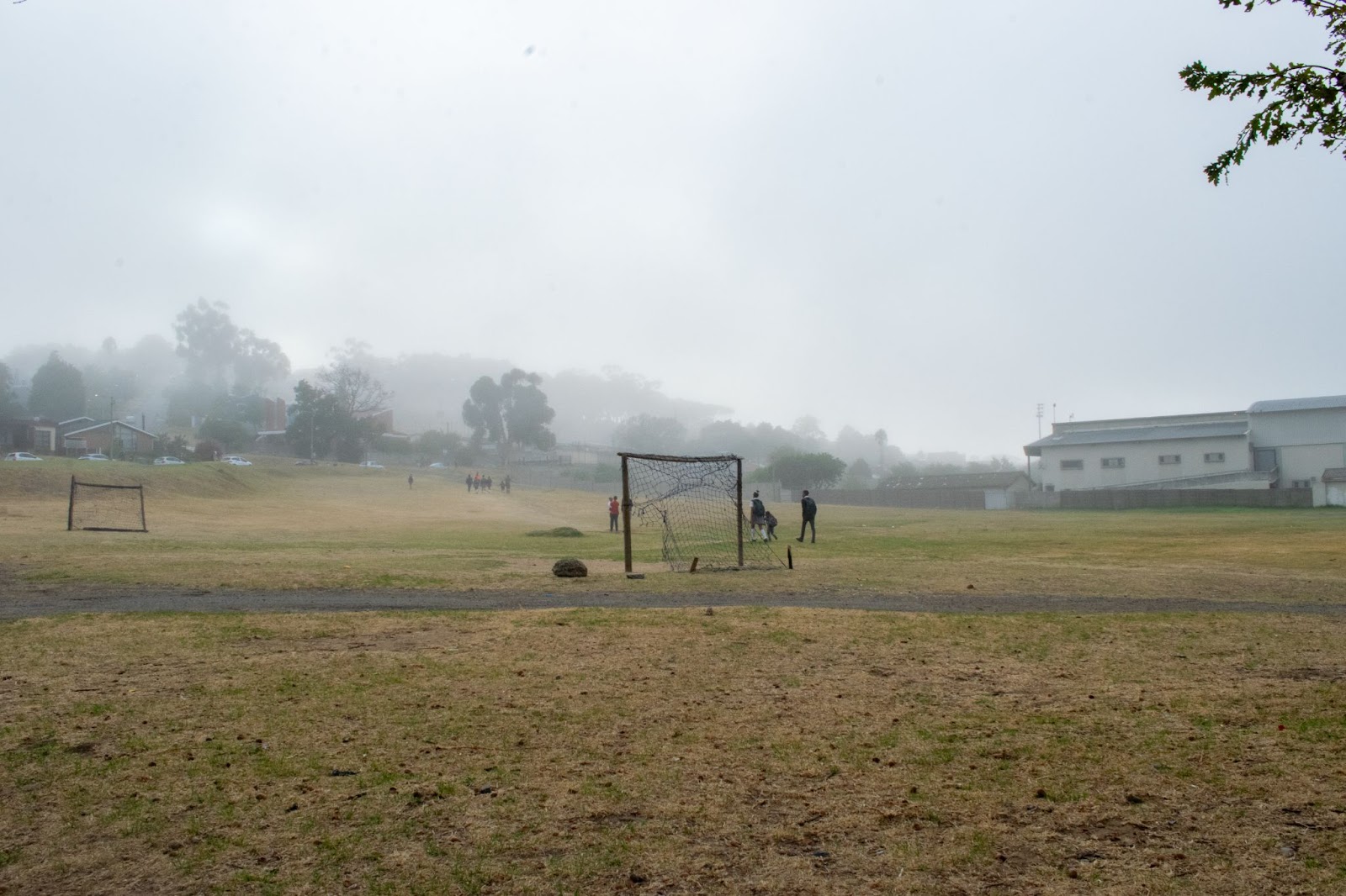 An open field near Long Street.