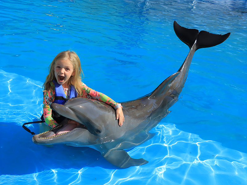 Girl playing with a dolphin