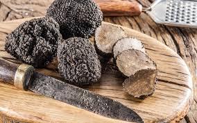 A knife and black truffles on a cutting board

Description automatically generated