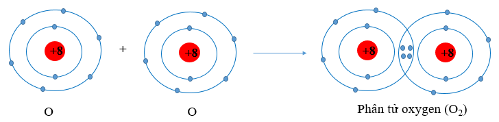 BÀI 8. QUY TẮC OCTET