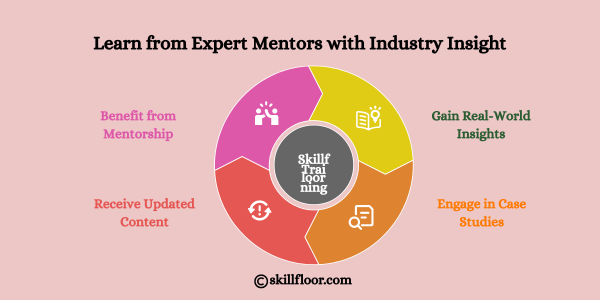 Learn from Expert Mentors with Industry Insight