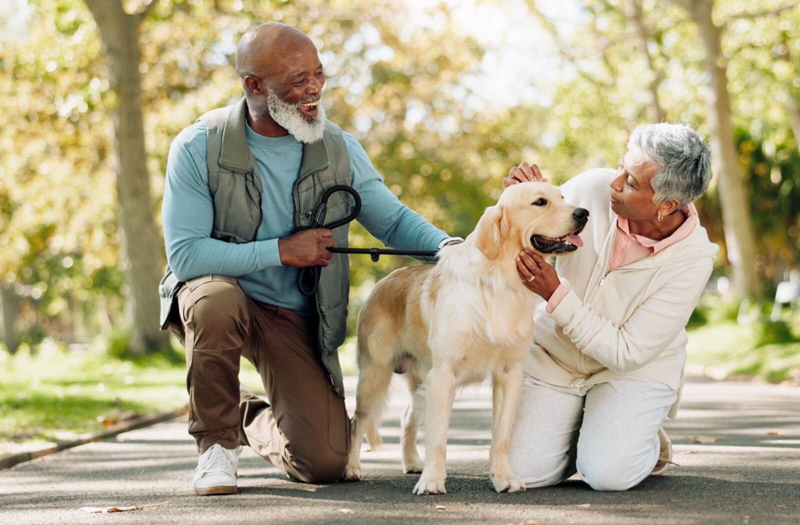 A senior couple takes a break while walking their dog in the bright sunshine to pet their dog