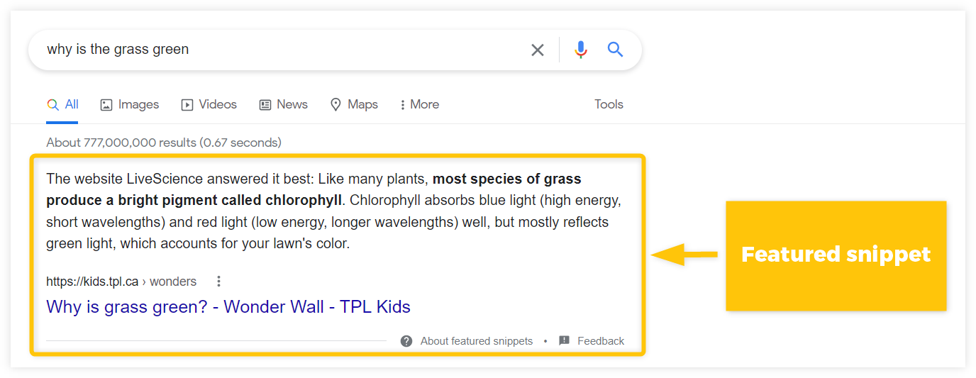 Example of featured snipped to "why is the grass green"