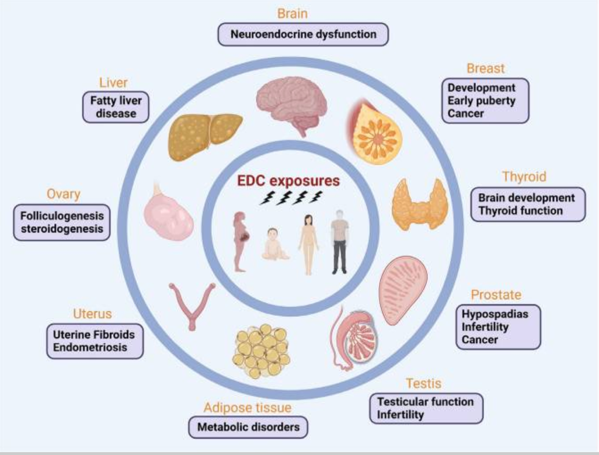 A diagram of various types of diseases

Description automatically generated