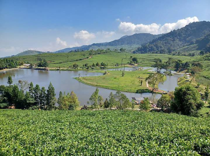 5 Rekomendasi Wisata Puncak