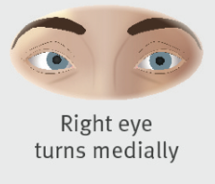 A close up of a pair of eyes

Description automatically generated with low confidence