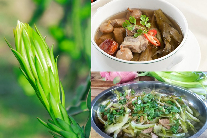 Món Ăn Từ Hoa Thanh Long