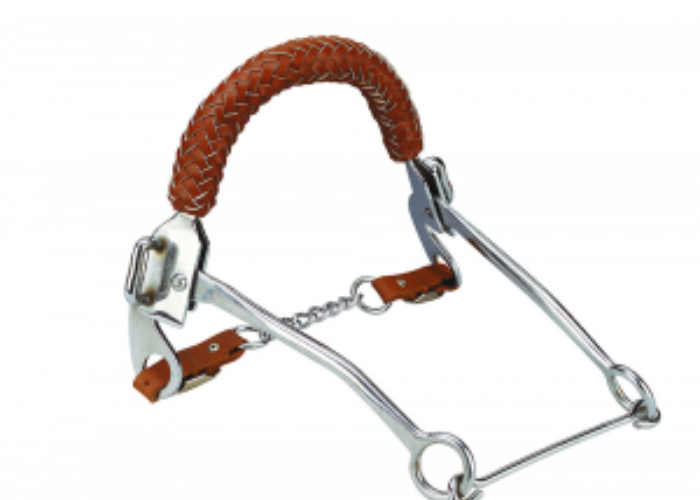 Hackamore bridle