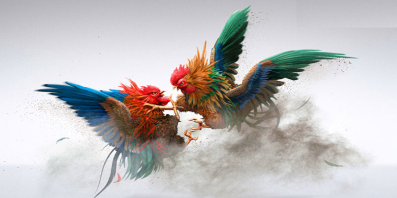 Đây là 3 loại hình chính