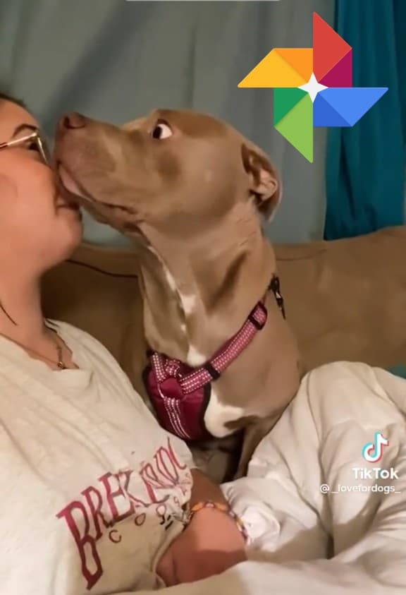 Create Fun Animations (GIFs) Using Google Photos!