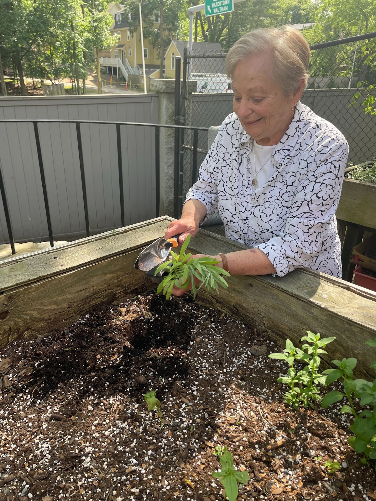 Woman works in the garden