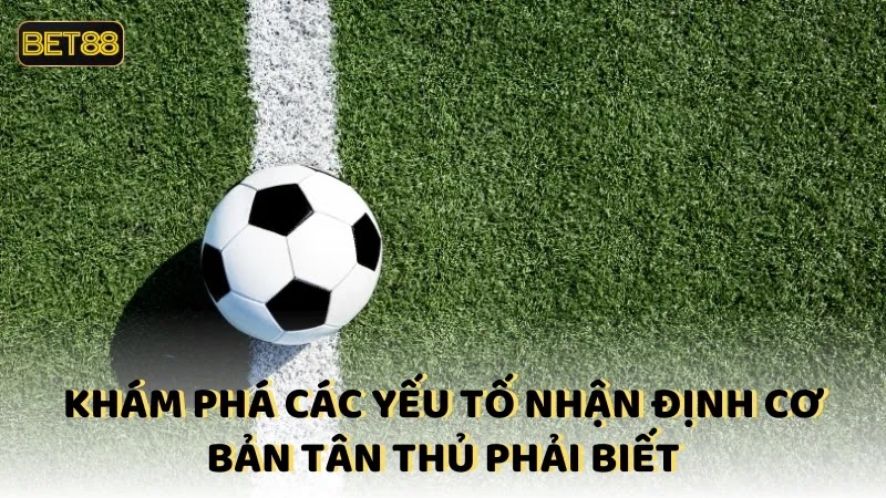 Khám phá các yếu tố nhận định cơ bản tân thủ phải biết