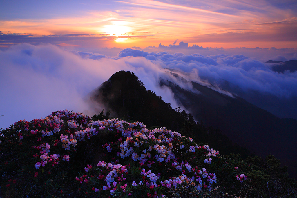 Hehuanshan National Forest Recreation Area