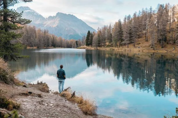 30 Landscapes That Showcase the Power of Nature, powerful landscapes, nature force, nature, forest, landscape, natural scenery, dramatic photos