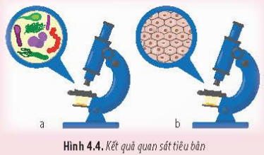 BÀI 4 - KHÁI QUÁT VỀ TẾ BÀO