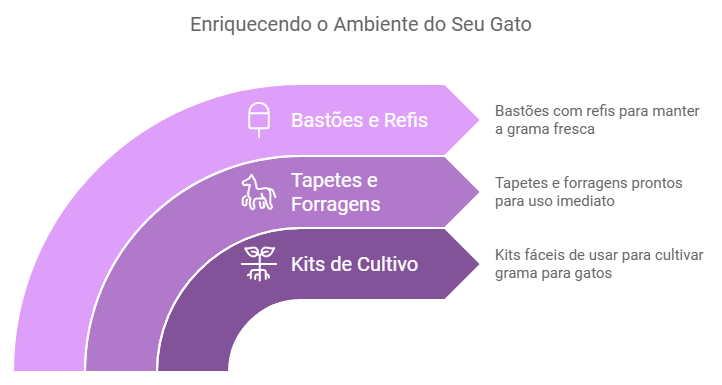 Grama para gatos: alternativas e produtos disponíveis