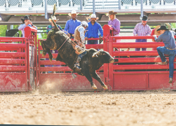 Rodeo events