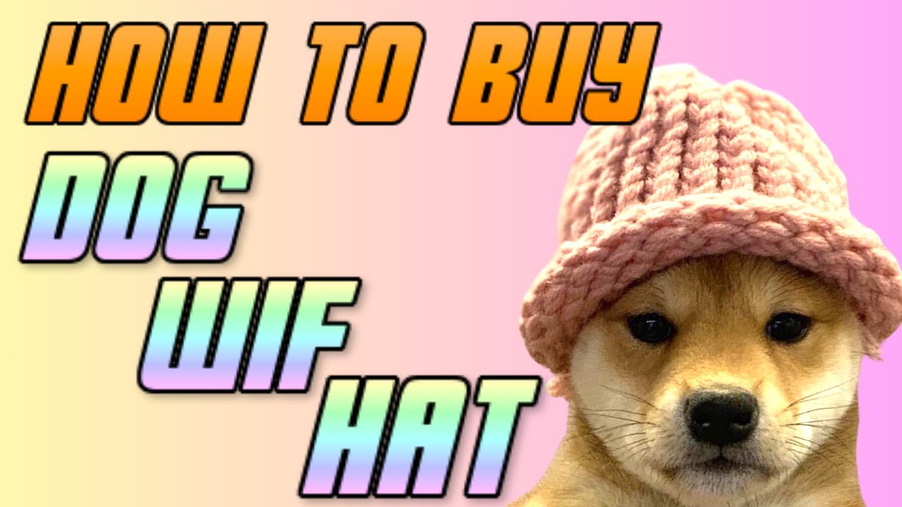 how to buy dogwifhat