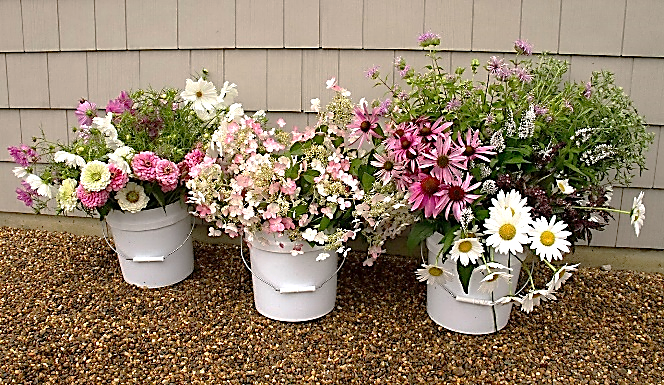 A group of buckets of flowersDescription automatically generated