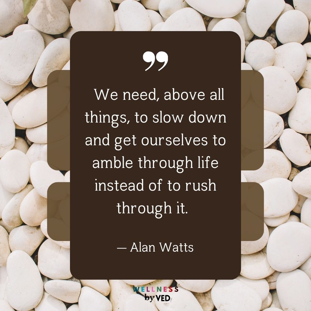 Alan Watts quotes 