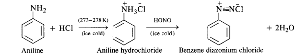 NCERT Solutions For Class 12 Chemistry Chapter 13 Amines Exercises Q6.4