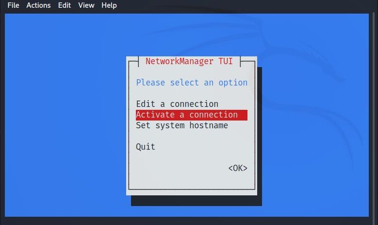 activate a connection in Kali