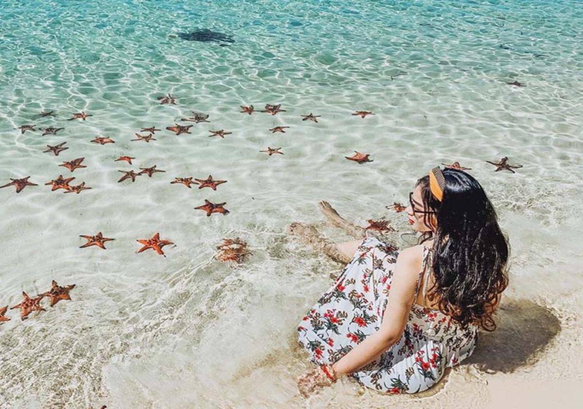 A person sitting in the water with starfish

Description automatically generated