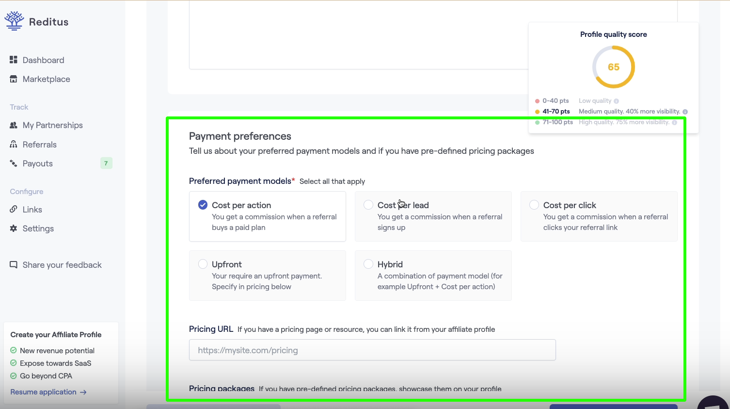 Sampe screenshot of payment preferences information in an affiliate profile on Reditus.