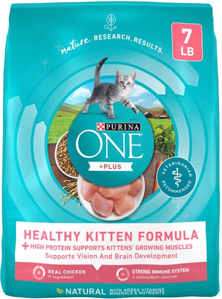 Purina Kitten Dry Food: Nourish Your Feline's Future!