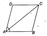 NCERT Solutions for Class 9 Maths Chapter 8 Quadrilaterals Ex 8.1 Q6