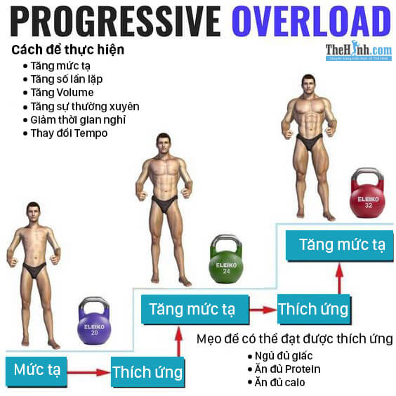 <a href="https://www.thehinh.com/2019/08/progressive-overload-la-gi.html">Progressive Overload là gì? Một kỹ thuật tăng cơ bạn cần biết</a>