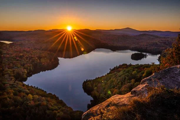 10 Natural Wonders That Don’t Look Real, surreal landscapes, unreal nature, nature, forest, landscape, fantasy earth, mind-blowing scenes