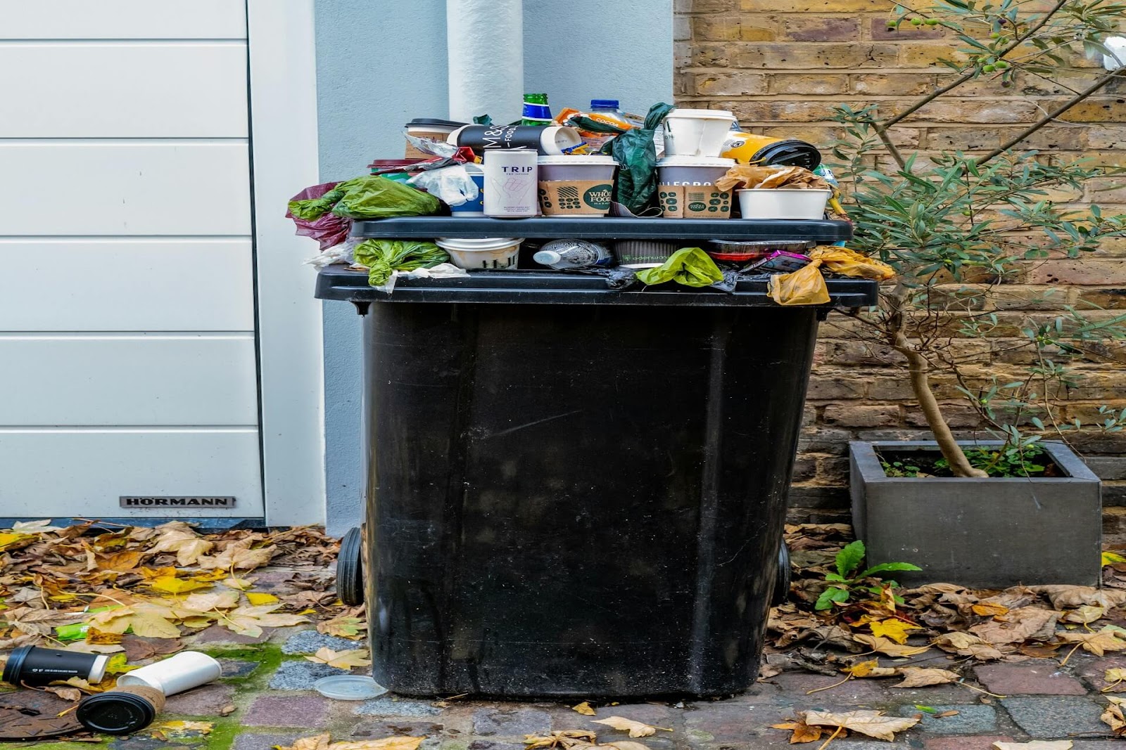 Overflowing, unsealed garbage bin.