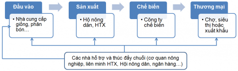 BÀI 20. VAI TRÒ, ĐẶC ĐIỂM, CÁC NHÂN TỐ ẢNH HƯỞNG ĐẾN SỰ PHÁT TRIỂN VÀ PHÂN BỐ NÔNG NGHIỆP, LÂM NGHIỆP, THỦY SẢN