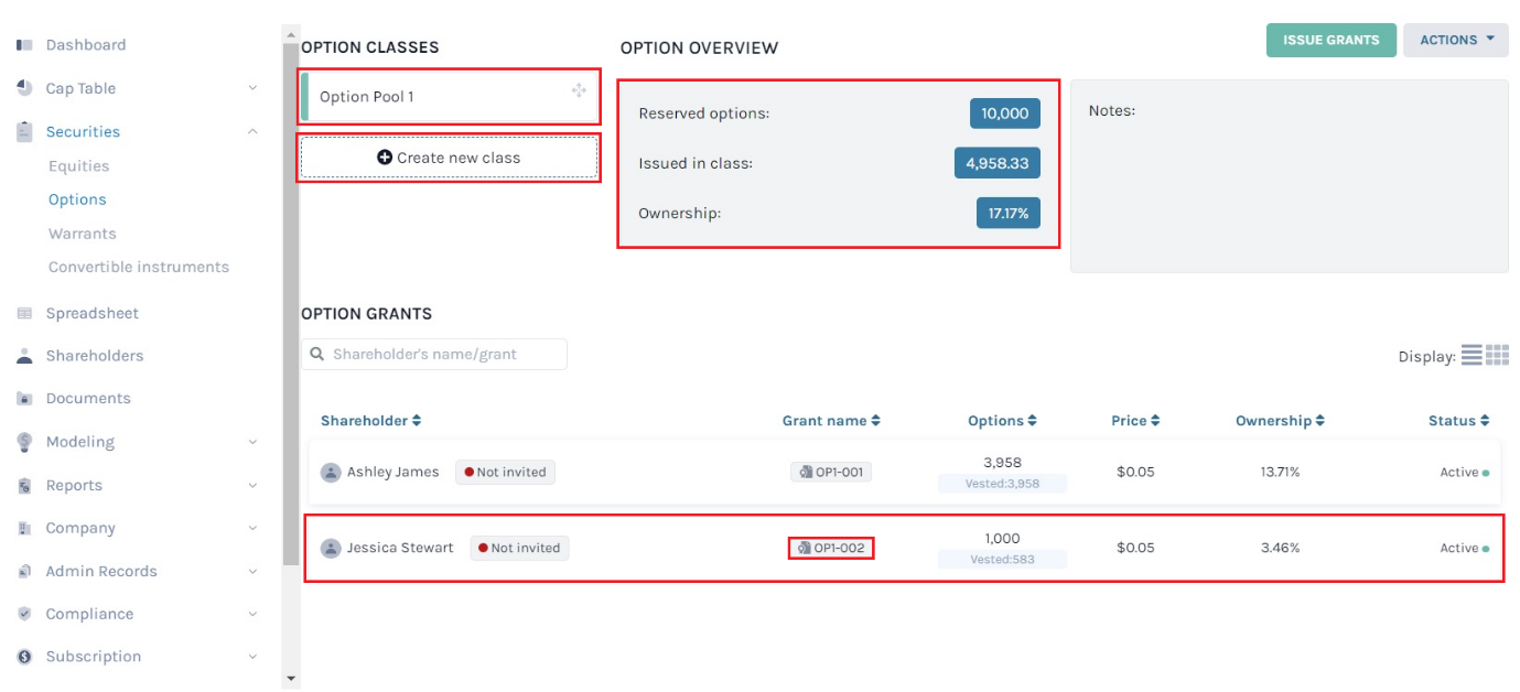 option overview 