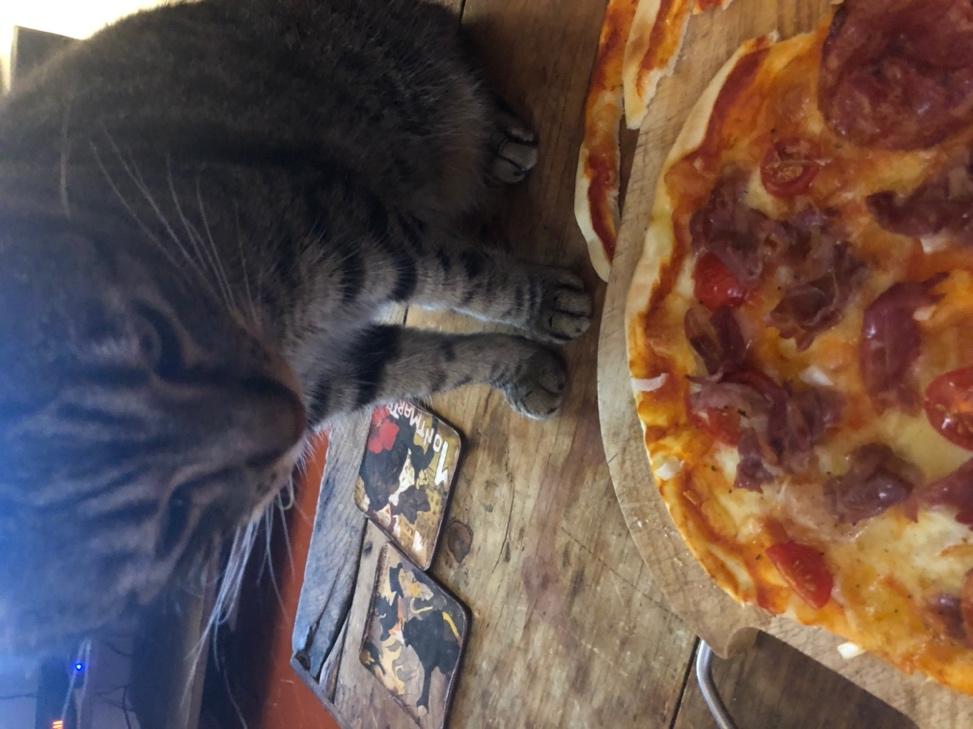 A cat looking at a pizza

Description automatically generated