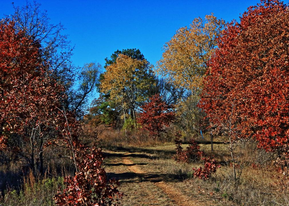 LBJ National Grasslands in north Texas.