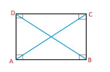 Prove: Rectangles have congruent diagonals. | Homework.Study.com