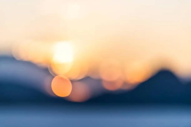 20 Nature Shots That Reflect Still Emotions, emotional nature, still moment, nature, forest, landscape, visual feeling, nature calm