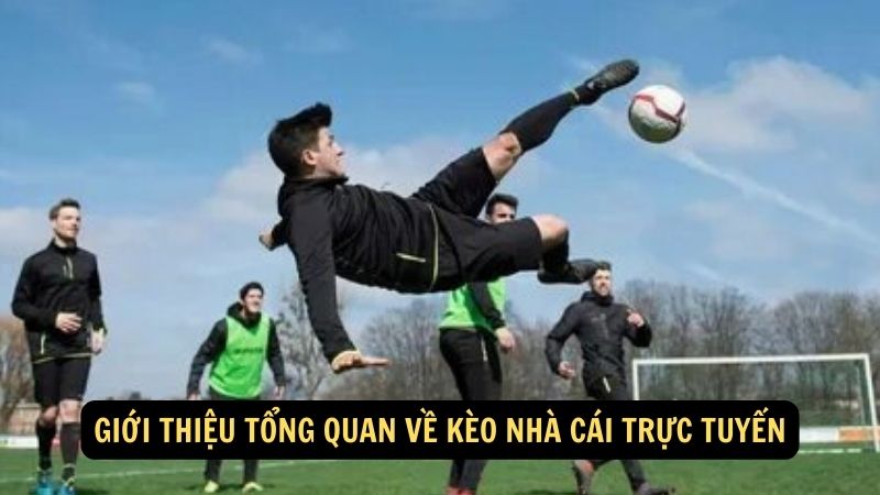 Giới thiệu tổng quan về kèo nhà cái trực tuyến