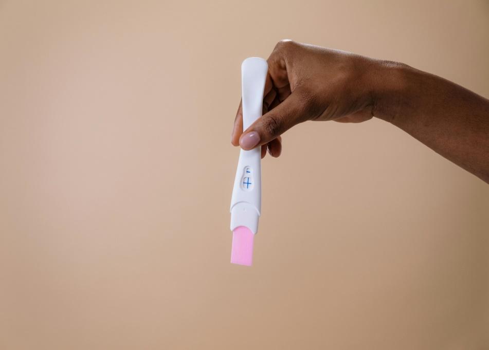 Person Holding a Pregnancy Test · Free Stock Photo