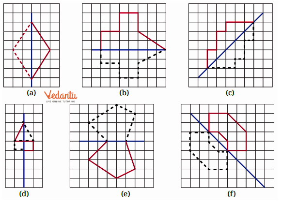 draw line of symmetry in blue line