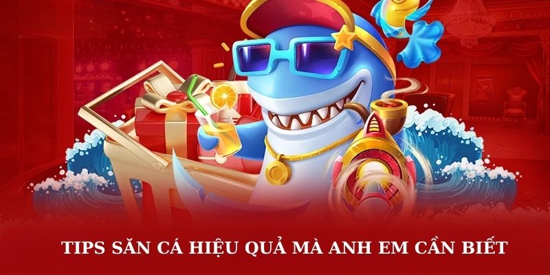 Tips săn cá hiệu quả mà anh em cần biết 