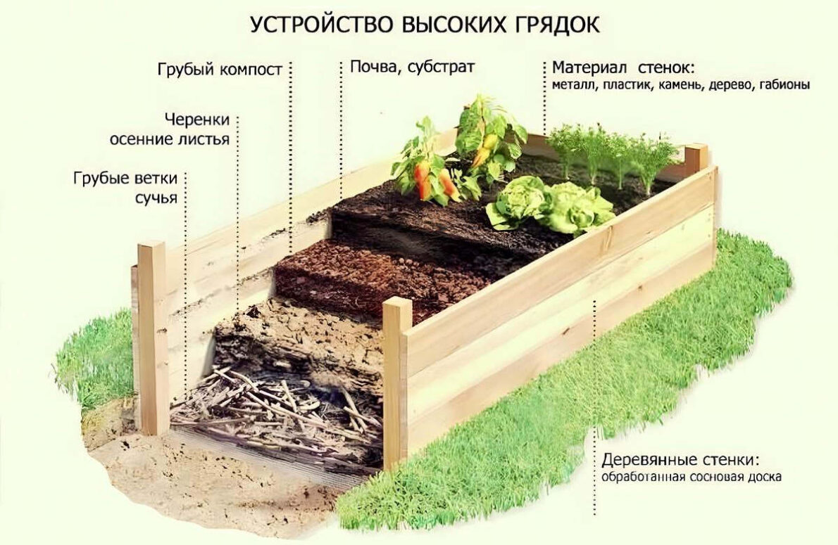 Проектирование высоких грядок