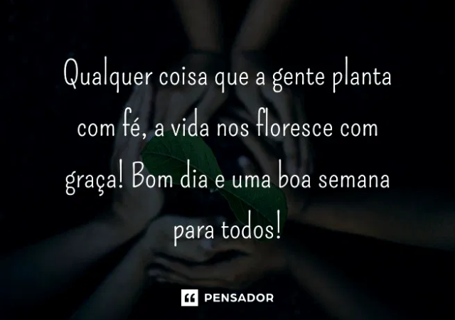 Qual é a frase de bom dia de hoje?
